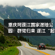 重庆阿蓬江国家湿地公园:群鹭归来 逐江“起舞”(图3) 重庆阿蓬江国家湿地公园:群鹭归来 逐江“起舞”(图3)
