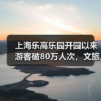 上海乐高乐园开园以来游客破80万人次，文旅贡献逐步显现（图1）