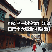 胡杨已一树金黄!泽普县第十六届金湖杨旅游文化季邀您来品(图1) 胡杨已一树金黄!泽普县第十六届金湖杨旅游文化季邀您来品(图1)