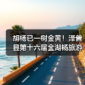 胡杨已一树金黄!泽普县第十六届金湖杨旅游文化季邀您来品(图4) 胡杨已一树金黄!泽普县第十六届金湖杨旅游文化季邀您来品(图4)