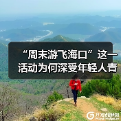 “周末游飞海口”这一活动为何深受年轻人青睐?（图4）