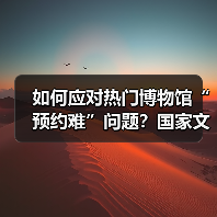 如何应对热门博物馆“预约难”问题？国家文物局作出回应（图1）
