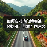 如何应对热门博物馆“预约难”问题？国家文物局作出回应（图3）