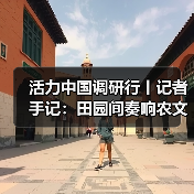 活力中国调研行丨记者手记:田园间奏响农文旅交响曲(图3) 活力中国调研行丨记者手记:田园间奏响农文旅交响曲(图3)