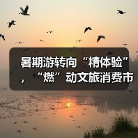 暑期游转向“精体验”，“燃”动文旅消费市场（图2）