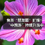免签“朋友圈”扩增!“中国游”持续升温中(图3) 免签“朋友圈”扩增!“中国游”持续升温中(图3)