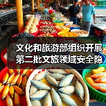 文化和旅游部组织开展第二批文旅领域安全隐患暗访抽查（图4）