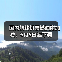 国内航线机票燃油附加费，6月5日起下调（图2）