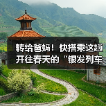 转给爸妈!快搭乘这趟开往春天的“银发列车”(图3) 转给爸妈!快搭乘这趟开往春天的“银发列车”(图3)