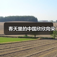 春天里的中国欣欣向荣（图1）