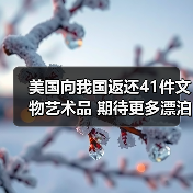 美国向我国返还41件文物艺术品 期待更多漂泊海外的文物回家(图3) 美国向我国返还41件文物艺术品 期待更多漂泊海外的文物回家(图3)