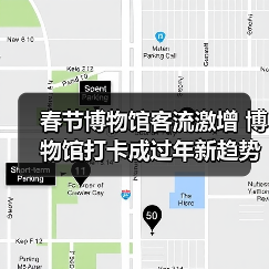 春节博物馆客流激增 博物馆打卡成过年新趋势（图4）