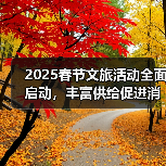2025春节文旅活动全面启动，丰富供给促进消费（图2）