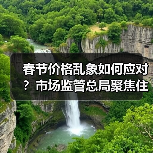 春节价格乱象如何应对？市场监管总局聚焦住宿交通等价格监管（图3）