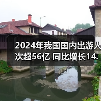 2024年我国国内出游人次超56亿 同比增长14.8%（图3）