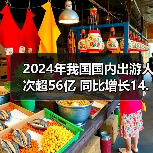 2024年我国国内出游人次超56亿 同比增长14.8%（图1）