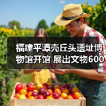 福建平潭壳丘头遗址博物馆开馆 展出文物600多件(图3) 福建平潭壳丘头遗址博物馆开馆 展出文物600多件(图3)