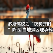 多所高校为“夜骑开封”降温 当地景区迎承载极限（图4）
