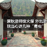 赏秋游持续火爆 外出游玩当心这几种“毒虫”（图4）