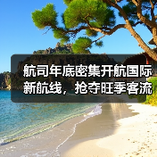 航司年底密集开航国际新航线,抢夺旺季客流高峰(图3) 航司年底密集开航国际新航线,抢夺旺季客流高峰(图3)