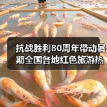 抗战胜利80周年带动暑期全国各地红色旅游热（图1）