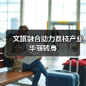 文旅融合助力荔枝产业华丽转身(图4) 文旅融合助力荔枝产业华丽转身(图4)