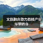 文旅融合助力荔枝产业华丽转身(图3) 文旅融合助力荔枝产业华丽转身(图3)