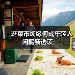 逛菜市场缘何成年轻人闲暇新选项(图1) 逛菜市场缘何成年轻人闲暇新选项(图1)