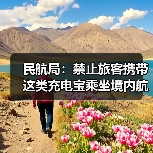 民航局:禁止旅客携带这类充电宝乘坐境内航班(图1) 民航局:禁止旅客携带这类充电宝乘坐境内航班(图1)