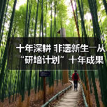 十年深耕 非遗新生――从“研培计划”十年成果展看非遗传承的探索与突破(图3) 十年深耕 非遗新生――从“研培计划”十年成果展看非遗传承的探索与突破(图3)