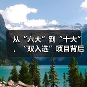 从“六大”到“十大”,“双入选”项目背后的文化密码(图2) 从“六大”到“十大”,“双入选”项目背后的文化密码(图2)