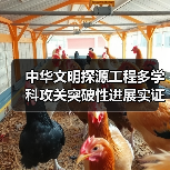 中华文明探源工程多学科攻关突破性进展实证五千年文明史(图2) 中华文明探源工程多学科攻关突破性进展实证五千年文明史(图2)