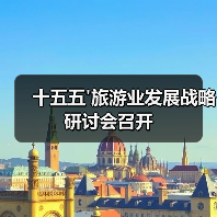 十五五'旅游业发展战略研讨会召开（图1）