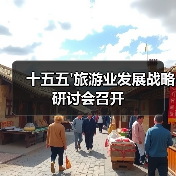 十五五'旅游业发展战略研讨会召开（图2）