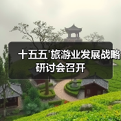 十五五'旅游业发展战略研讨会召开（图4）