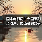 国家电影局扩大国际影片引进,市场策略如何调整?(图4) 国家电影局扩大国际影片引进,市场策略如何调整?(图4)