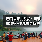 春日去哪儿赏花？沉浸式体验+农旅融合玩法大公开（图2）