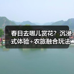 春日去哪儿赏花？沉浸式体验+农旅融合玩法大公开（图4）