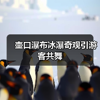 壶口瀑布冰瀑奇观引游客共舞（图1）