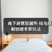 南下避寒旅居热 候鸟族解锁暖冬新玩法(图1) 南下避寒旅居热 候鸟族解锁暖冬新玩法(图1)