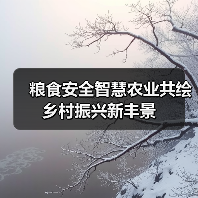 粮食安全智慧农业共绘乡村振兴新丰景（图3）