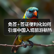 免签+签证便利化如何引爆中国入境旅游新热潮？（图4）