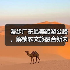 漫步广东最美旅游公路,解锁农文旅融合新未来(图4) 漫步广东最美旅游公路,解锁农文旅融合新未来(图4)
