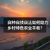 良种良技良法如何助力乡村特色农业丰收？（图4）