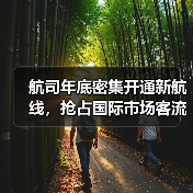 航司年底密集开通新航线,抢占国际市场客流(图2) 航司年底密集开通新航线,抢占国际市场客流(图2)