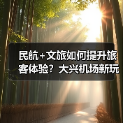 民航+文旅如何提升旅客体验？大兴机场新玩法揭秘