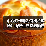 小众打卡地为何成垃圾场？山野生态隐患触目惊心（图2）