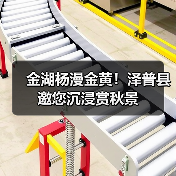 金湖杨漫金黄!泽普县邀您沉浸赏秋景(图2) 金湖杨漫金黄!泽普县邀您沉浸赏秋景(图2)