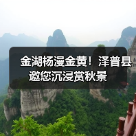 金湖杨漫金黄!泽普县邀您沉浸赏秋景(图3) 金湖杨漫金黄!泽普县邀您沉浸赏秋景(图3)