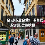 金湖杨漫金黄!泽普县邀您沉浸赏秋景(图4) 金湖杨漫金黄!泽普县邀您沉浸赏秋景(图4)